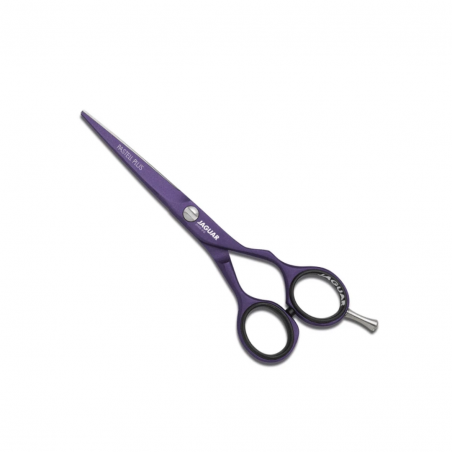 CISEAUX PASTELL PLUS VIOLA 5.5