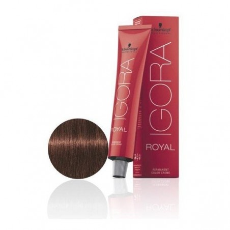 IGORA ROYAL 5-68 60ML